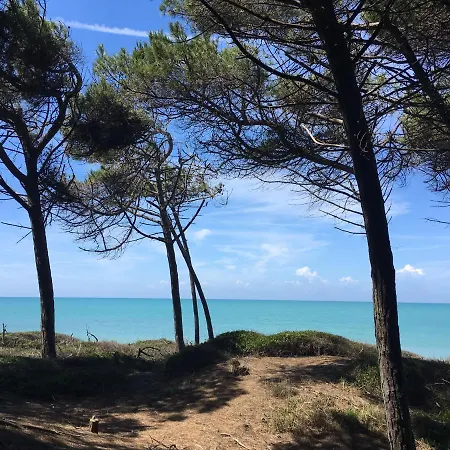 Toscana Tour - La Ninfea With Sea View شقة كاسال ماريتيمو
